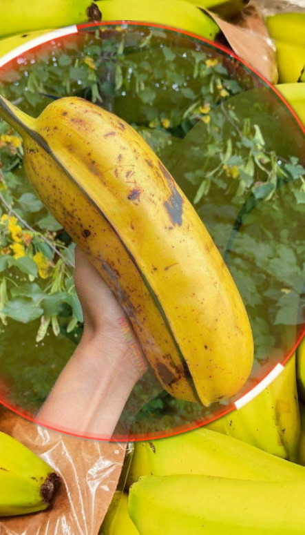 Фотке ЏИНОВСКЕ банане хит на мрежама
