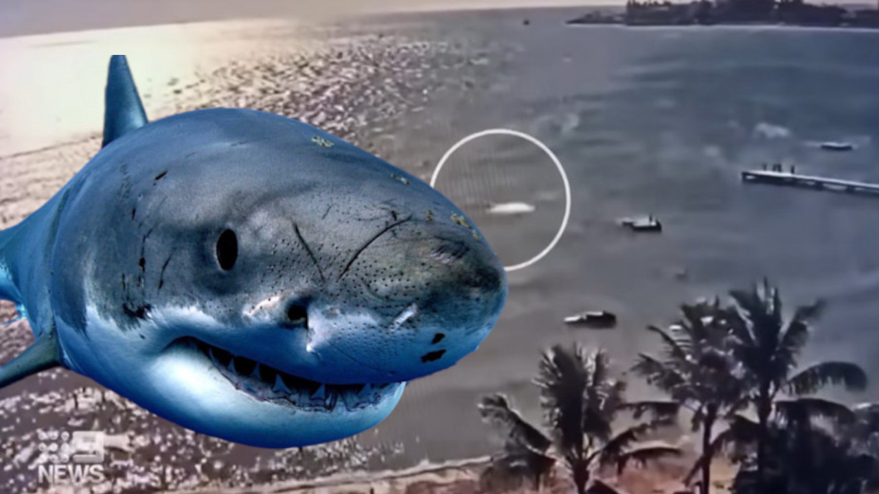 МРТАВ ЗА 10 СЕКУНДИ Испливао снимак напада ајкуле на туристу