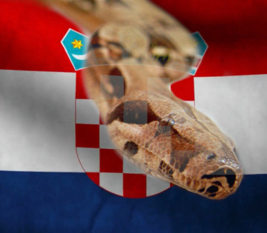 УПОЗОРЕЊЕ: Најотровнија европска змија снимљена у Хрватској