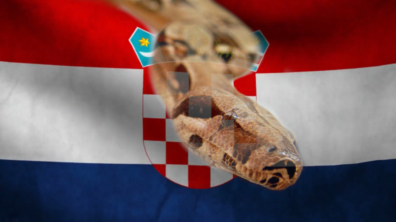 UPOZORENJE: Najotrovnija evropska zmija snimljena u Hrvatskoj
