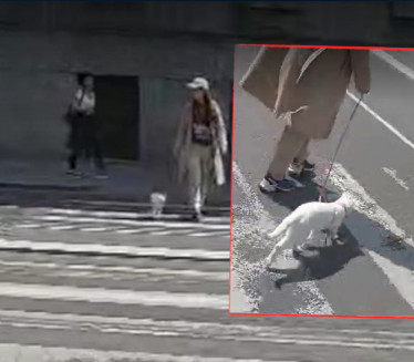 ZAŠTO SAMO PSI? Beograđanka šeta mačku na povocu (VIDEO)