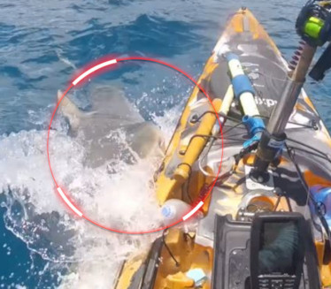 ДА СЕ НАЈЕЖИШ Камера забележила језив напад ајкуле на рибара