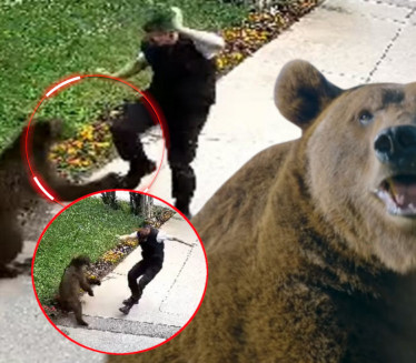 ŠOK U KRUGU FABRIKE: Radnika obezbeđenja napao medved (VIDEO)
