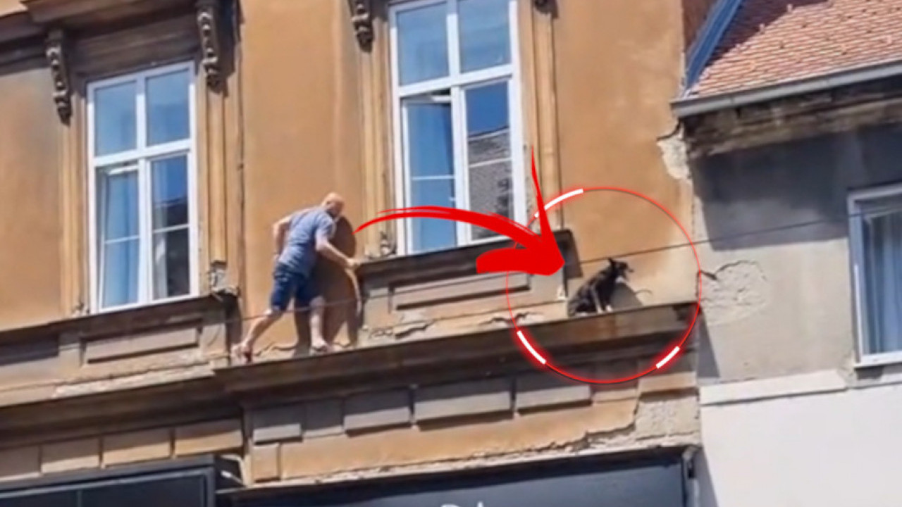 HEROJSKI PODVIG: Momak spasio psa dok se fasada lomila VIDEO