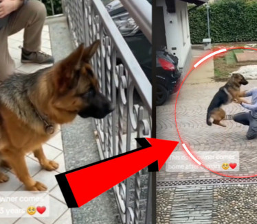 Потресан СНИМАК пса и његовог власника након 3 године ВИДЕО