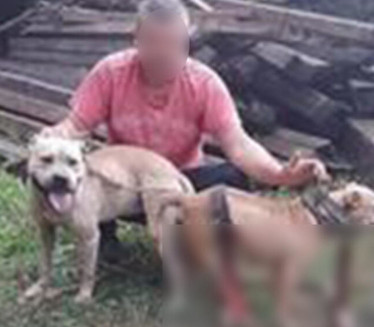 SVE KAČIO NA FEJS: Smederevac uhapšen zbog ubijanja pasa