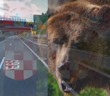 УПОЗОРЕЊЕ У ХРВАТСКОЈ: Медвед на аутопуту, код тунела