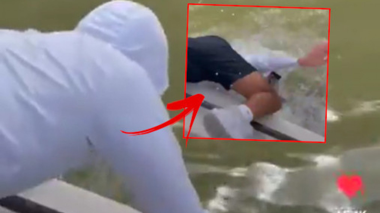 УЗНЕМИРУЈУЋЕ: Ајкула зграбила човека из чамца па га повукла