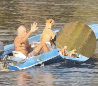 ПРЕСЛАТКО: Погледајте како пас вози чамац