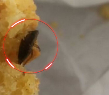 БУБА У ПРОЈИ Српкиња бесна-у оброку пронашла печеног инсекта