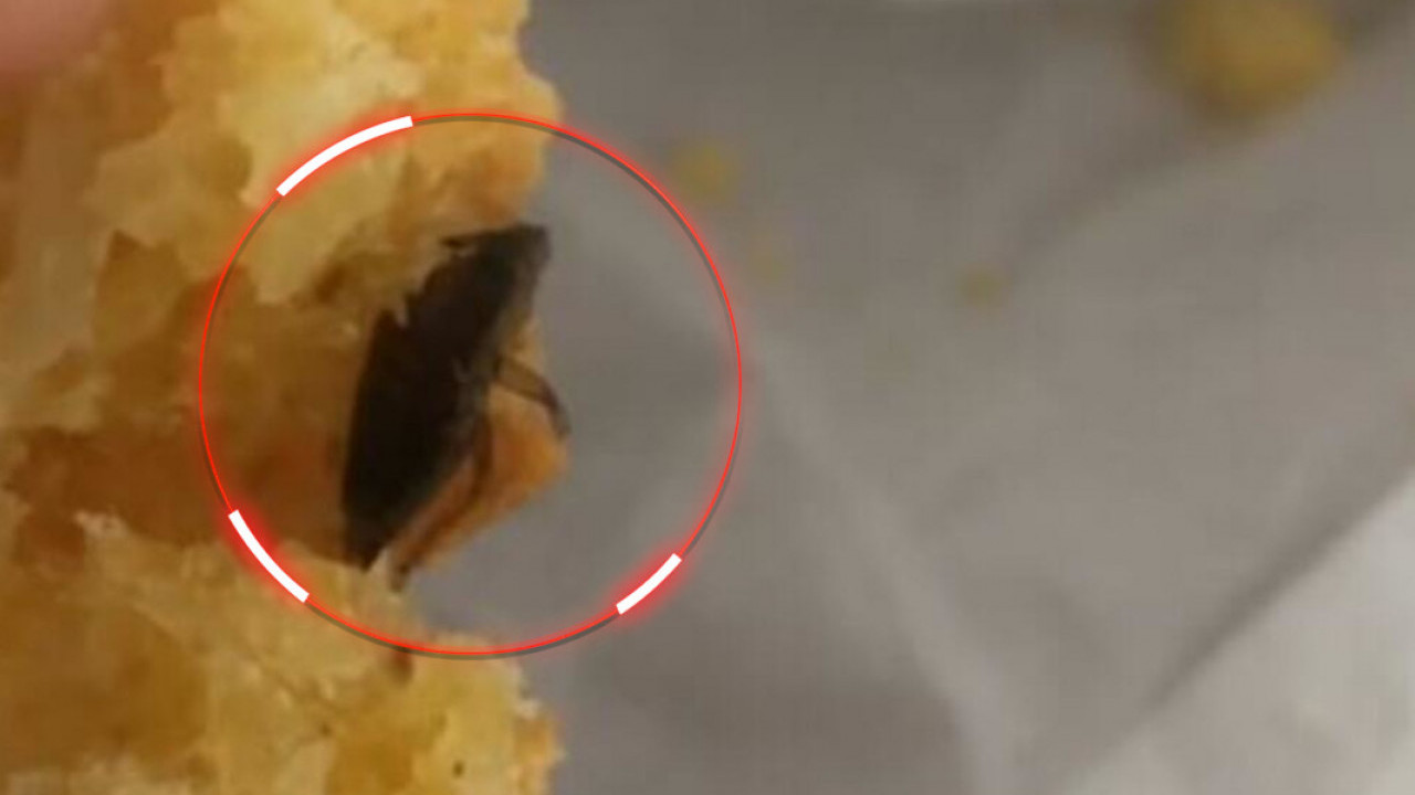 BUBA U PROJI Srpkinja besna-u obroku pronašla pečenog insekta