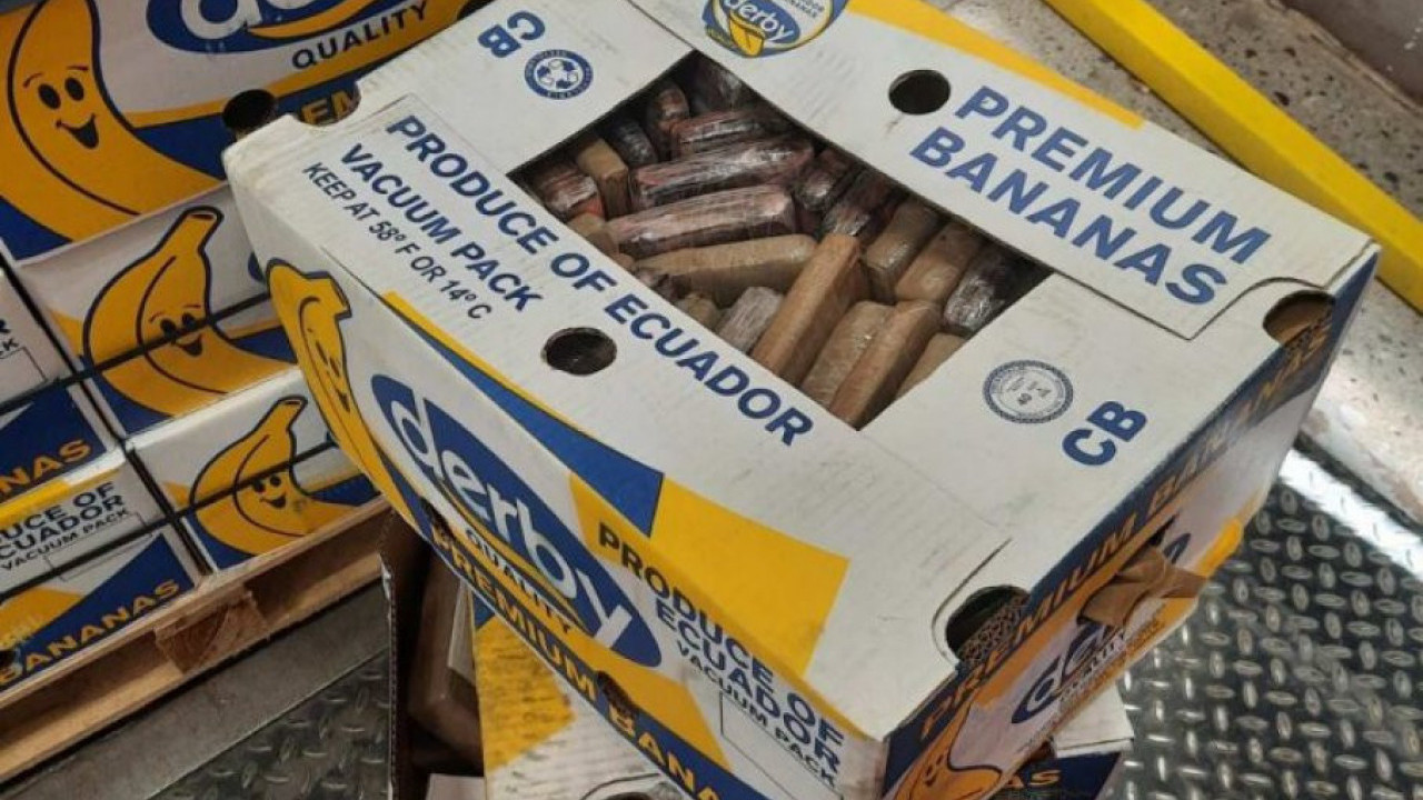 REKORDNA ZAPLENA KOKAINA: 8t droge u bananama iz Ekvadora