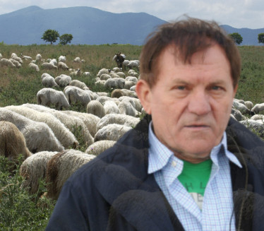 ПОРЕКЛО МИЛОША БОЈАНИЋА: Био сам сељачко дете, чувао овце