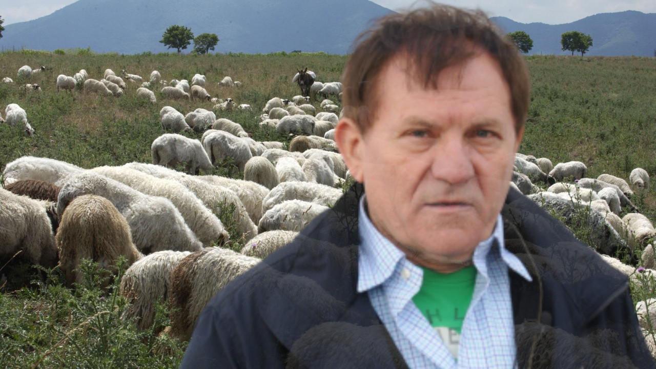 POREKLO MILOŠA BOJANIĆA: Bio sam seljačko dete, čuvao ovce