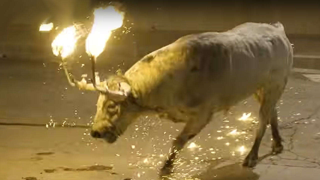 (UZNEMIRUJUĆE) Zapalili biku rogove - užasan snimak mučenja