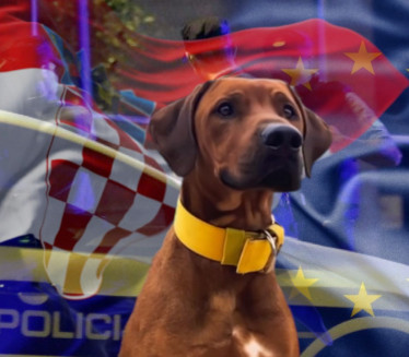 UCENJIVAO ŽIVOTINJU: Hrvat iz Evropskog parlamenta SILOVAO psa