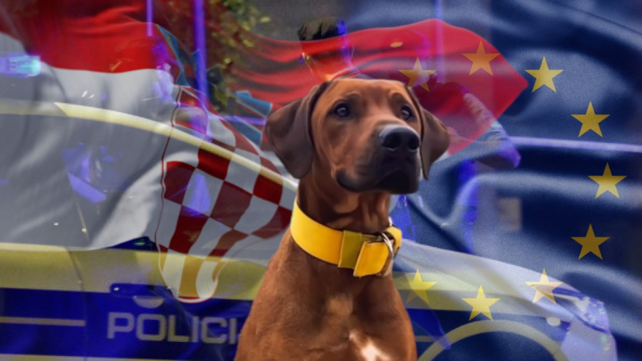 УЦЕЊИВАО ЖИВОТИЊУ: Хрват из Европског парламента СИЛОВАО пса