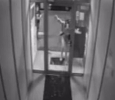 DRAMA U NOVOM SADU: Devojka razlupala ulazna vrata na zgradi