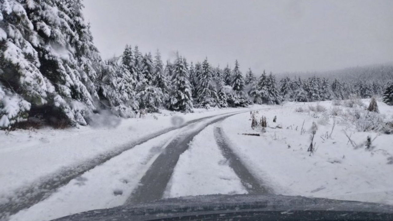 KAO DA JE JANUAR: Fruška Gora pod snegom (FOTO)