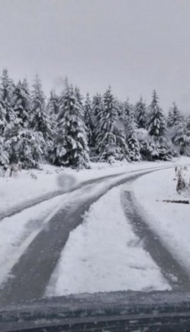 КАО ДА ЈЕ ЈАНУАР: Фрушка Гора под снегом (ФОТО)