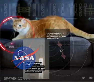 НАСА ПОСЛАЛА ВИДЕО ИЗ СВЕМИРА: Мачка "ухватила" ласер
