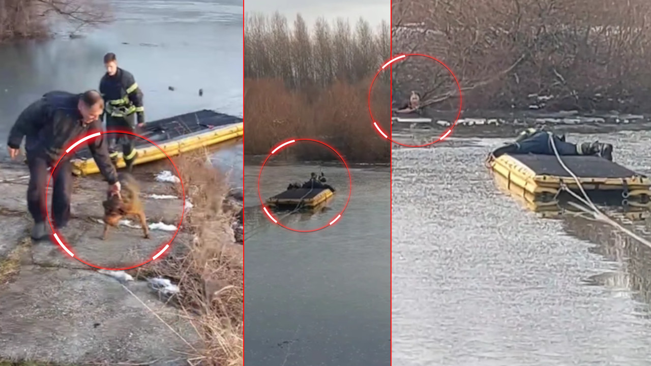 НА ДУШЕКУ КРОЗ ЛЕД: Спасени жена и пас који су упали у воду