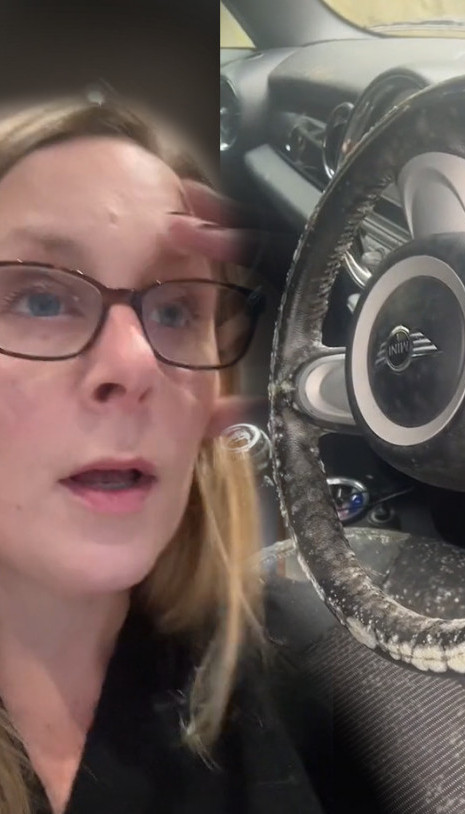 Otvorila je auto i zatekla ŠOKANTAN prizor (VIDEO)