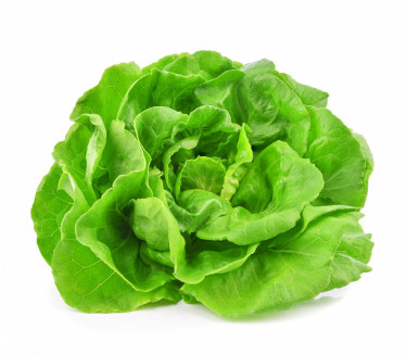 JEDNOSTAVAN TRIK: Evo kako da vam zelena salata duže traje