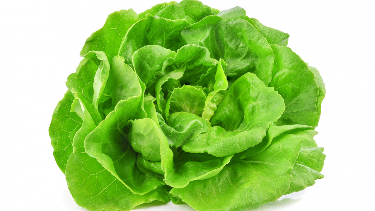 JEDNOSTAVAN TRIK: Evo kako da vam zelena salata duže traje