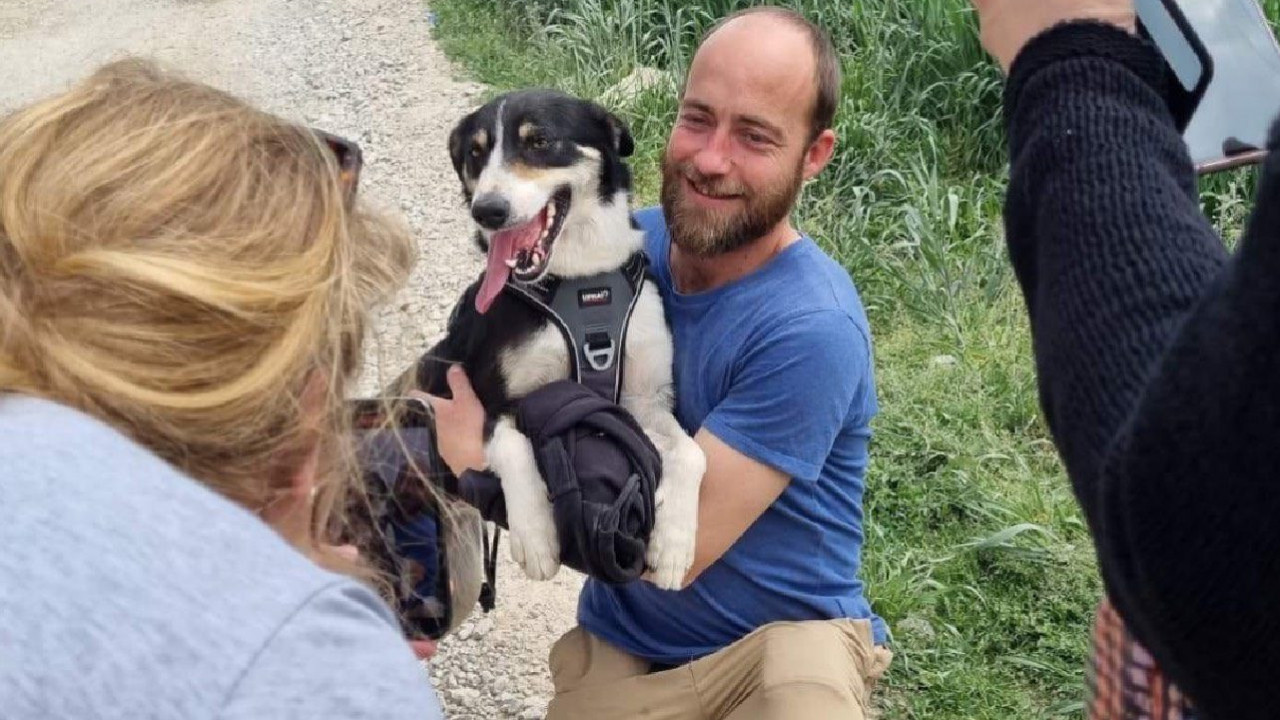 Француски пас изгубљен у Грчкој пронађен у азилу у Лозници