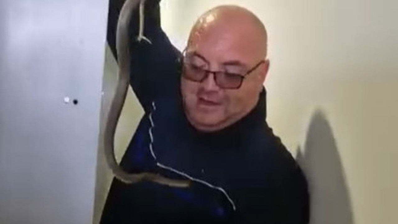 "ЛЕЛЕ!" Змија у радничком гардероберу - метар дуга (ВИДЕО)