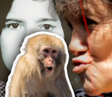 VIDITE JE SAD Odgajali je majmuni,užas kad se VRATILA ljudima