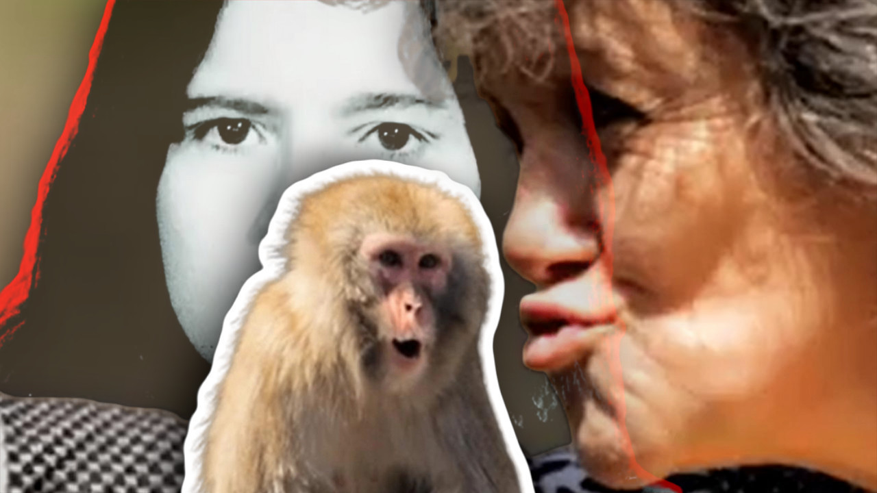 ВИДИТЕ ЈЕ САД Одгајали је мајмуни,ужас кад се ВРАТИЛА људима