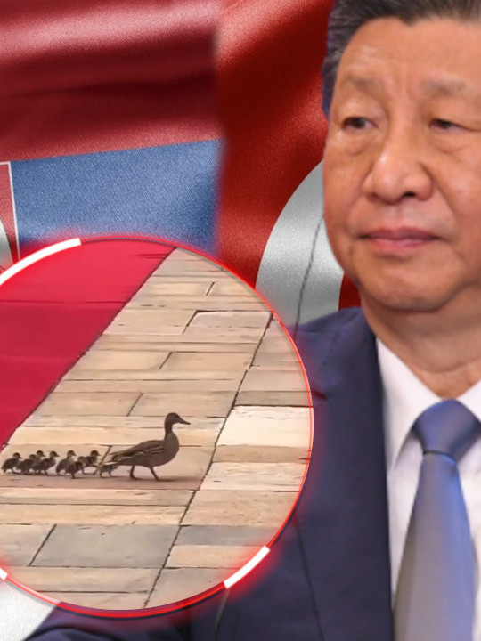 Za nas "samo" patke, a za Kineze - znak koji se NE IGNORIŠE